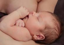 warto-karmic-naturalnie