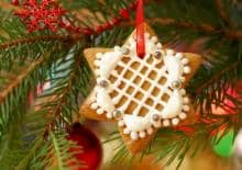 pierniczkowa-gwiazdka