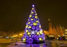 choinka-we-wroclawiu