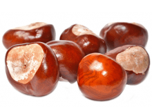 segregowanie-kasztanow