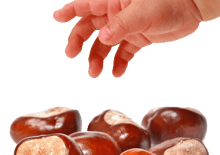 z-raczki-do-raczki