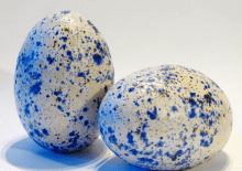 warsztaty-wielkanocne