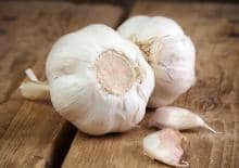 czosnek