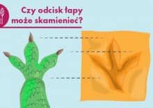 Warsztaty poświęcone prehistorii