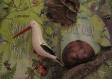 Spotkanie z przyrodą i książką