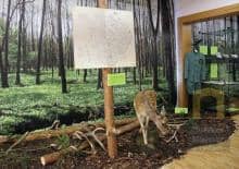 Tajemnice Puszczy Pszczyńskiej