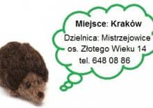 Recykling, czyli coś z niczego