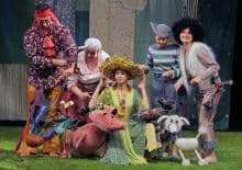 Ku-Ku-Ryku Słoneczniku, czyli historia...