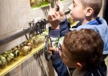 Etnokalendarz z okazji Światowego Dnia Ziemi