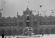 Warsztatowe spotkanie z gołębiami