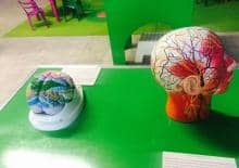 Naukowy zawrót głowy!