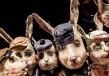 A niech to gęś kopnie!