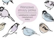 Ornito-elyta inteligencka.