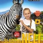 Eksperymenty inspirowane podróżami Neli