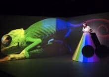 "Plama" we Wrocławskim Teatrze Lalek