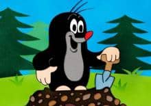 Warsztaty z Krecikiem