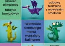 Smoczy Dzień Dziecka w Solvay Park