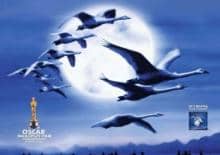 Kino familijne: Makrokosmos