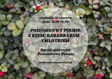 Piknik Poziomkowy nad Wilgą