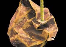 "Wyspy Szczęśliwe" w Teatrze Bagatela