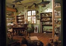 Warsztaty wakacyjne w Muzeum Architektury