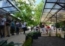 Ogrodnik-łakomczuch.