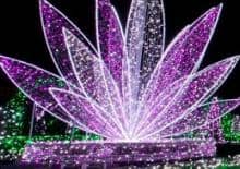 Królewski Ogród Światła