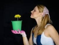 Ogrodowy zawrót głowy