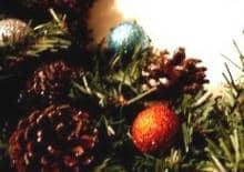 Rodzinne warsztaty tworzenia stroików świątecznych