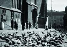 Fotografia preparowana