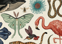 Jak zainteresować dzieci zwierzętami (z małą pomocą ciekawych książek)