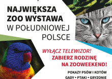 ZOO Weekend wystawa zoologiczna