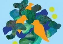 Jak one latają czyli co sprawia, że ptaki unoszą się w powietrzu?