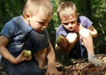 Wyprawy Małych Traperów - Wyprawa gadzio-płazia