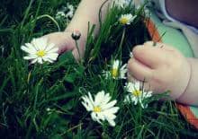 Kraina Maluszka - spotkania dla małych dzieci i rodziców