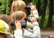 Letnie obserwacje ornitologiczne  - warsztaty w terenie