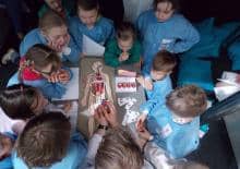 Warsztaty popularno-naukowe dla dzieci o alergii - Baylab