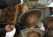 Dzień Pszczół w CRZ Krzywy Komin - warsztaty dla dzieci