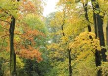 Króliki atakują! O równowadze w przyrodzie - spotkanie dla dzieci