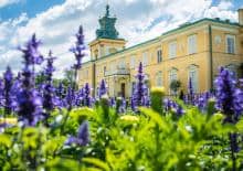 A co to? A kto to? Warsztaty dla dzieci ze spektrum autyzmu