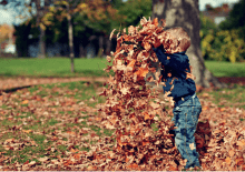 [KONKURS] Koniec z trzepakiem?
