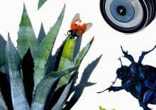 Coniedzielne warsztaty rodzinne - Załóż czapkę, Schronie!