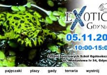 Exotica Gdynia - wystawa egzotycznych pajęczaków, owadów, płazów i innych zwierząt