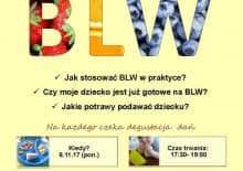 Warsztaty dla rodziców z żywienia metodą BLW