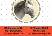 Baśniowa sobota "Srebrzysty konik ze złotą grzywą" przedstawienie