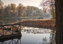 Mikroświat porostów - warsztaty przyrodnicze w Wilanowie