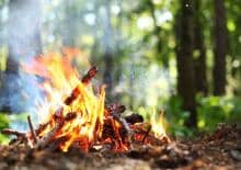 Wyprawy Małych Traperów - Wyprawa Survivalowa