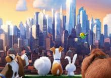 Kino Jak z Bajki: Sekretne życie zwierzaków domowych