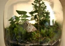 Zaklinanie lasu w słoiku - warsztaty