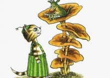 Dzień Kota - obchody w Księgarni Mała Buka